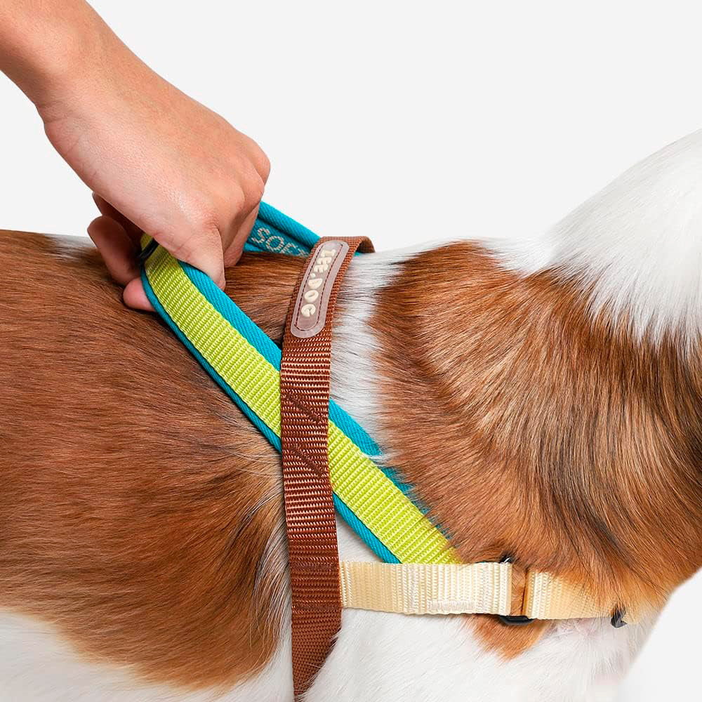 Zee.Dog Avocado SofterWal