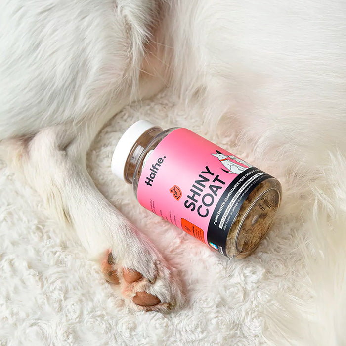 Halfie Suplemento Shiny Coat perro