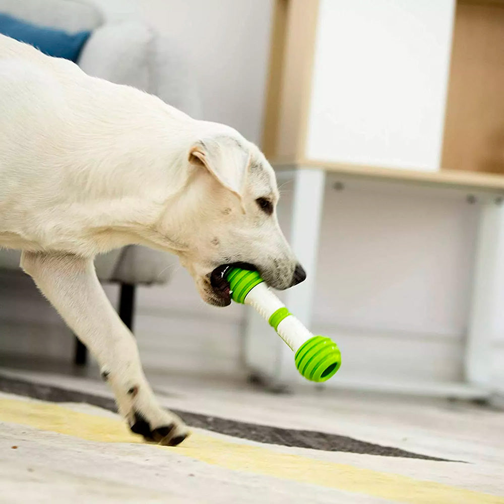 Petgeek Playbone Interactivo JUGUETE PERRO