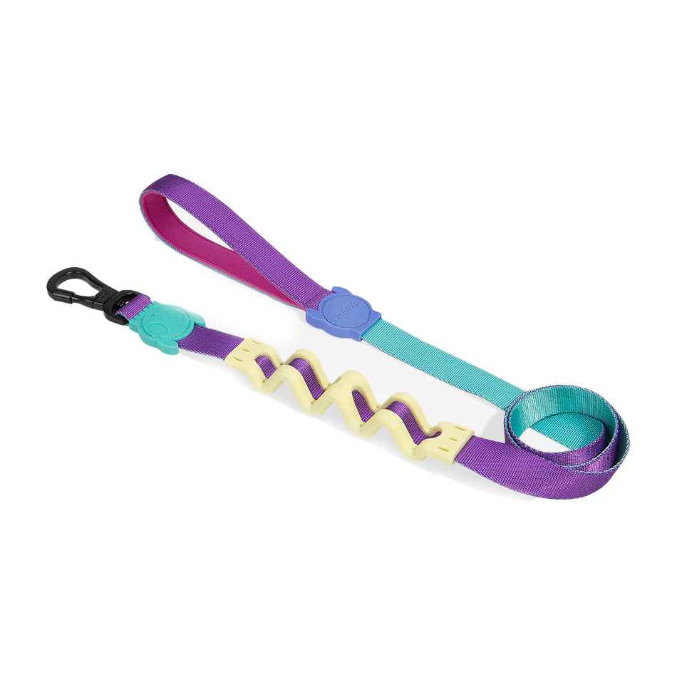 zeedog Ruff Leash Shockwave