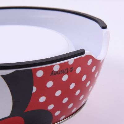 Bowl Disney Minnie