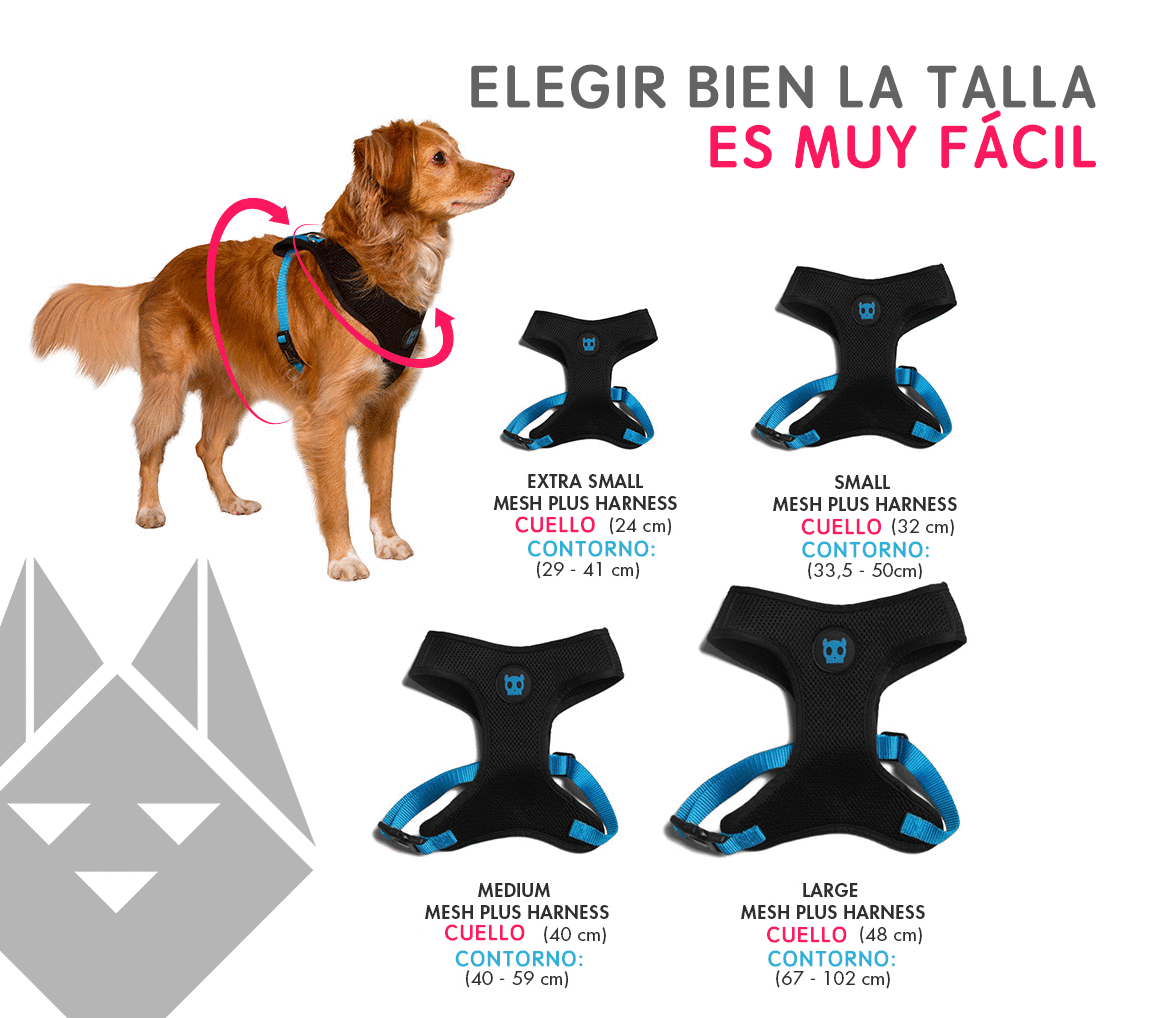 zeedog tallas atlanta mesh