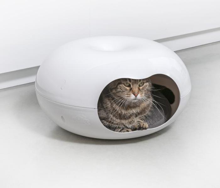 CASA PARA GATOS + COJIN