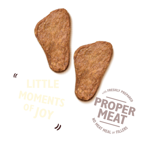 lily´s kitchen premio de pollo perro