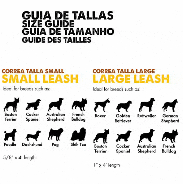 ZEE.DOG PAISLEY LEASH