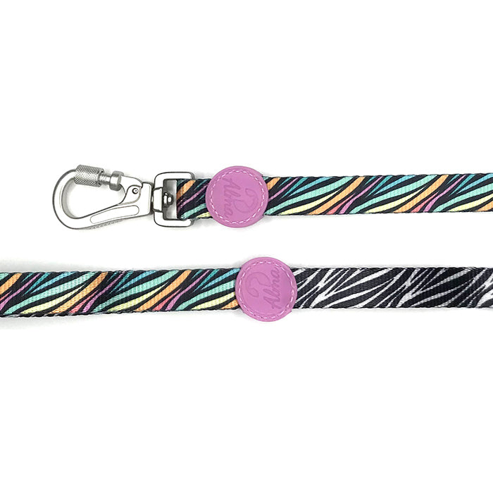 Alma Correa Safari perro