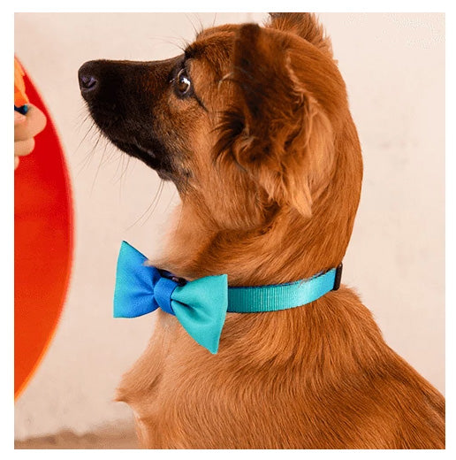 zeedog tide bow tie pajarita