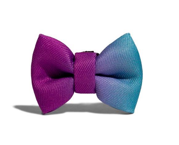 zeedog pajarita bow tie