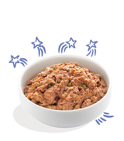 Edgard Cooper Ternera y Pato (Beef & Duck) para perro