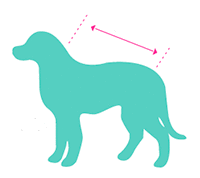 JERSEY MARRÓN BASIC