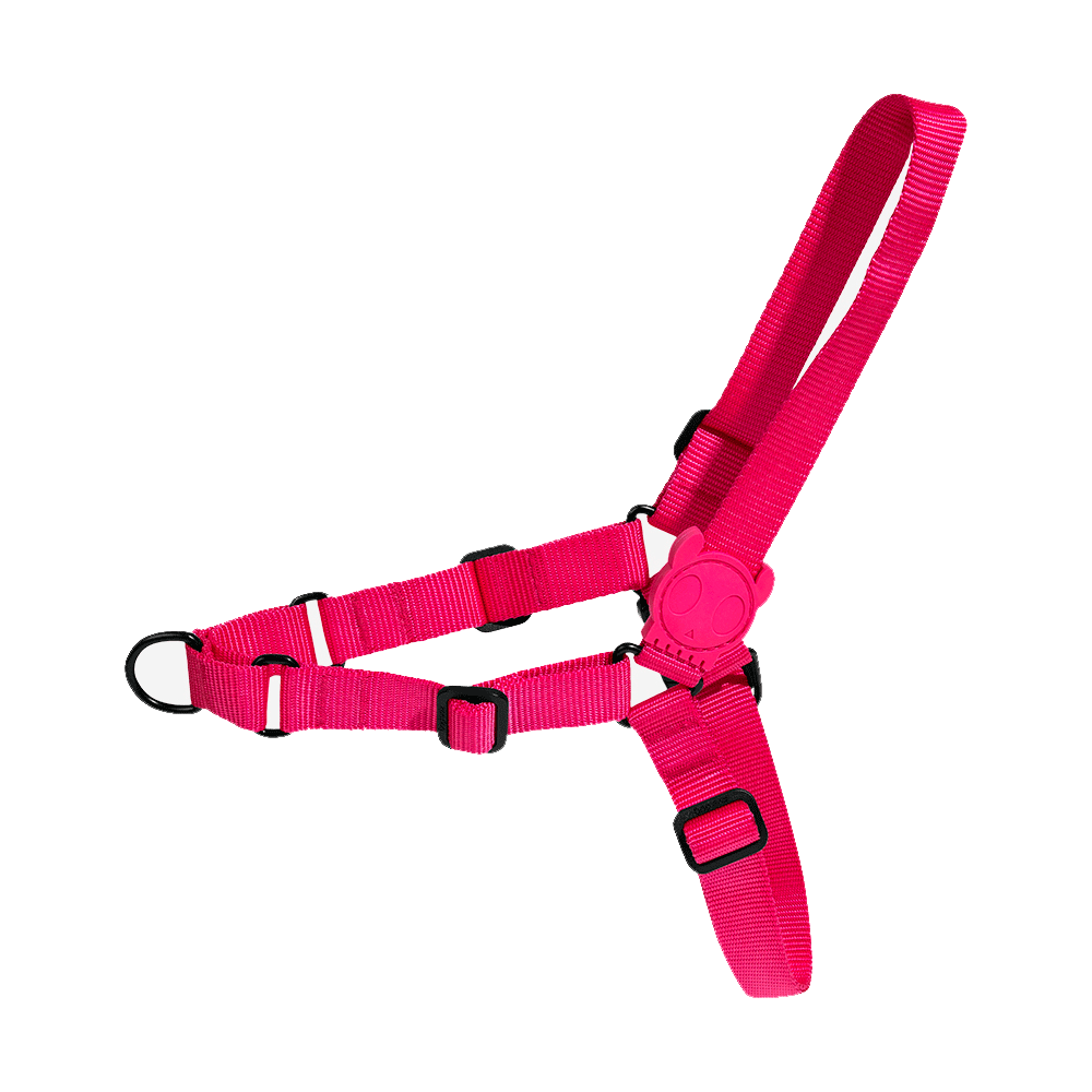 ZeeDog Pink Led Soft Walk