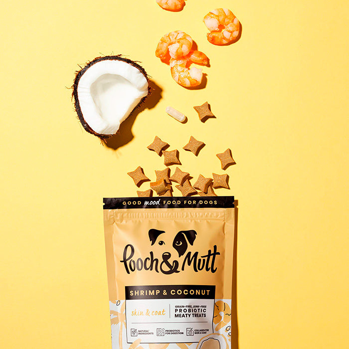 Pooch Mutt skin y coat perro