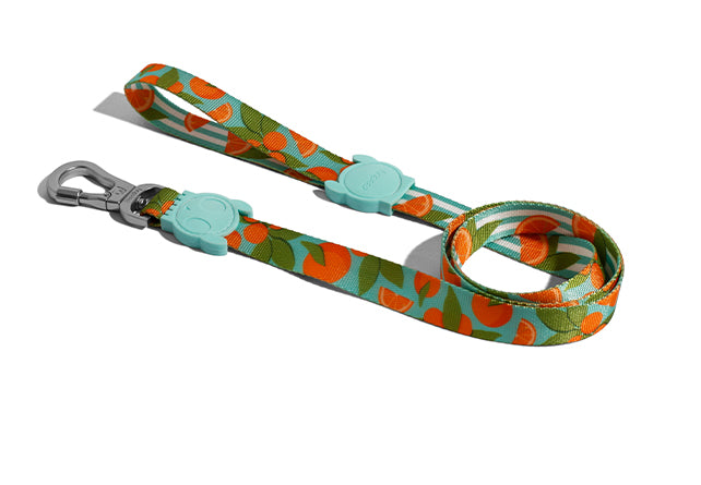 zeedog florida leash correa perro