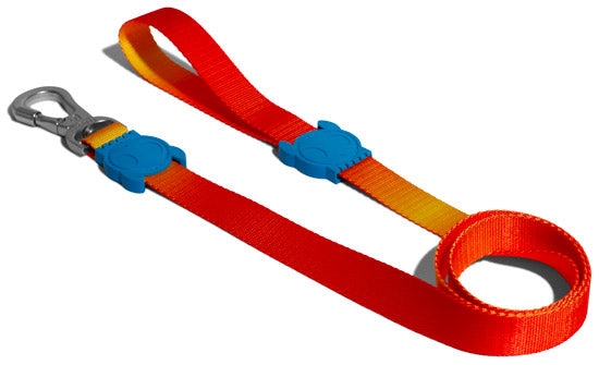 zeedog solaris leash trela