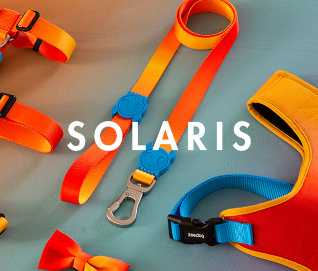 zeedog solaris collar correa leash