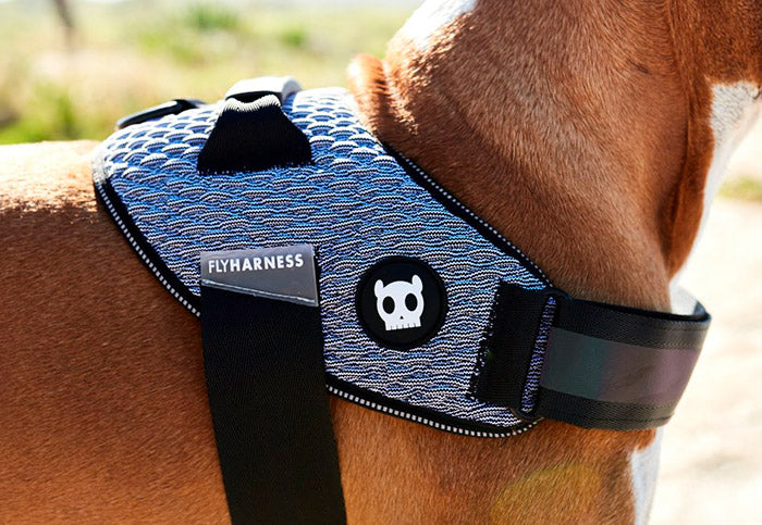 Zee.Dog Urban FlyHarness peitoral