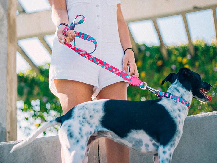 ZEE.DOG CORREA TETRIS LEASH