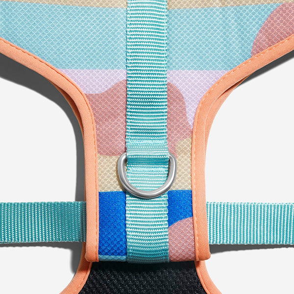 Zee.Dog Columbia Air Mesh ARNES