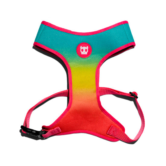 zeedog citrus air mesh arnes