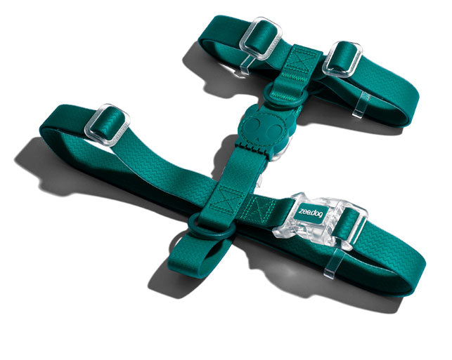 zeedog neopro amazonia arnes