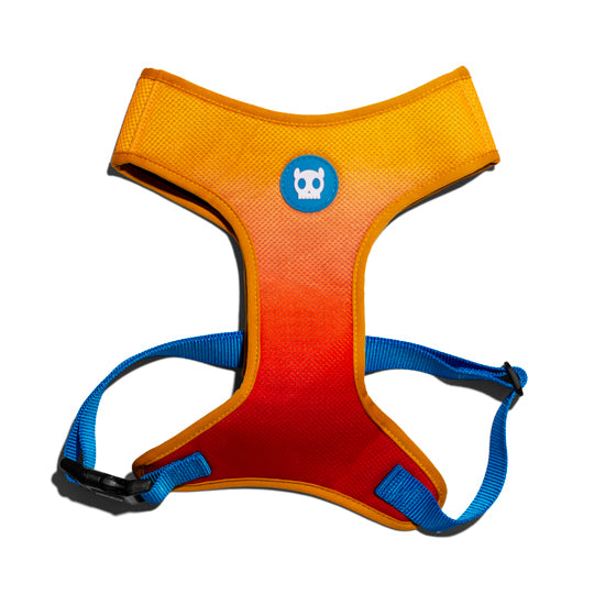 Zee.Dos Solaris Air Mesh arnes