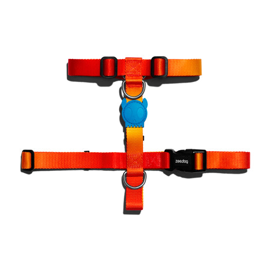 zee.dog solaris arnes