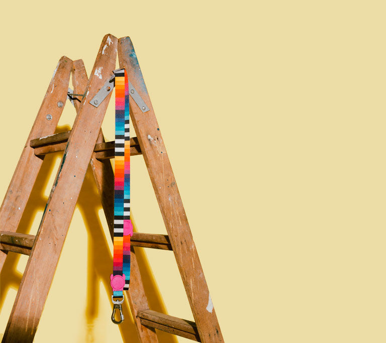 zeedog prisma trela para cao