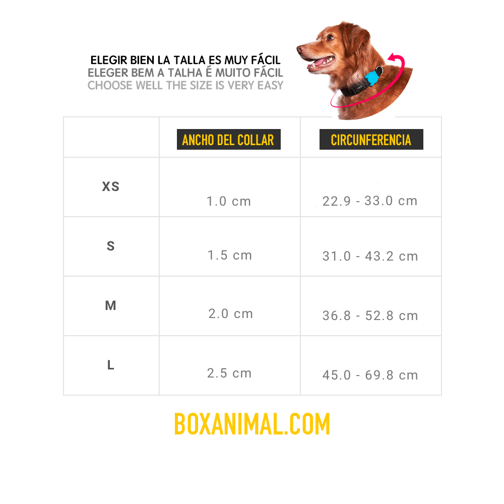 ZeeDog Collar Pacco talla