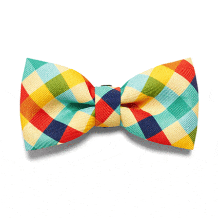 Zee.Dog Phantom Bow tie