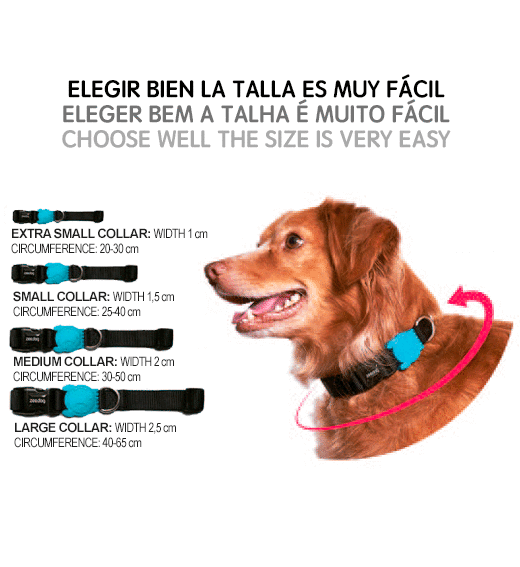 Zee.Dog Moss Collar