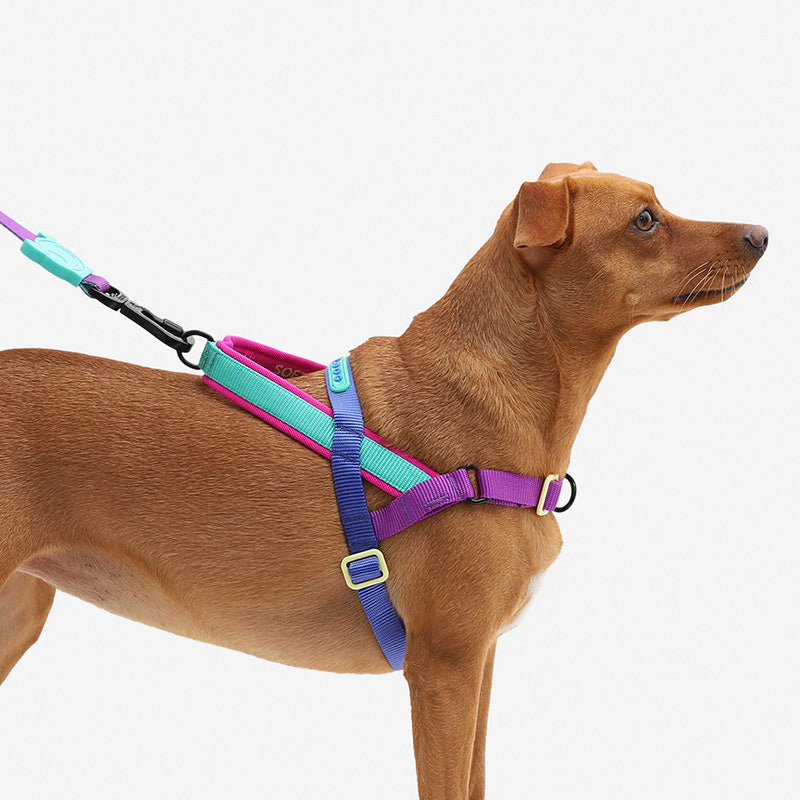 Zee.Dog Shockwave SofterWalk