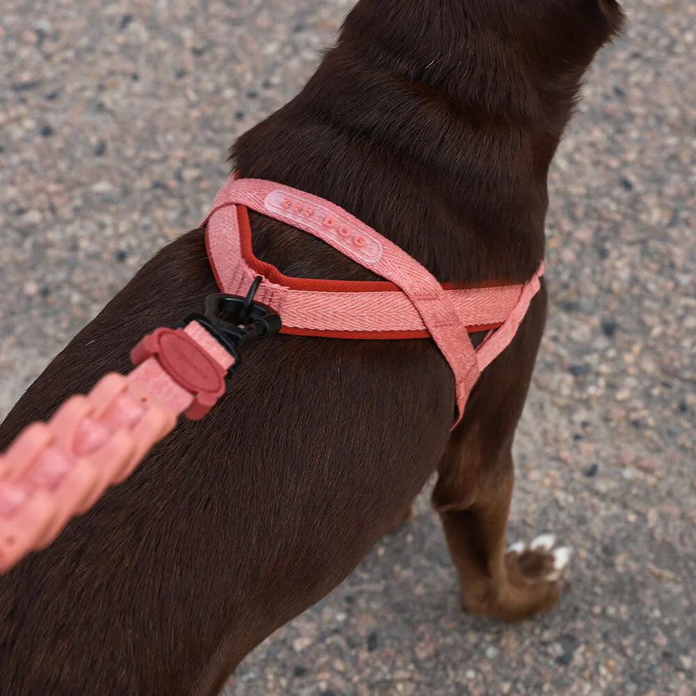 Zee.Dog Canyon SofterWalk