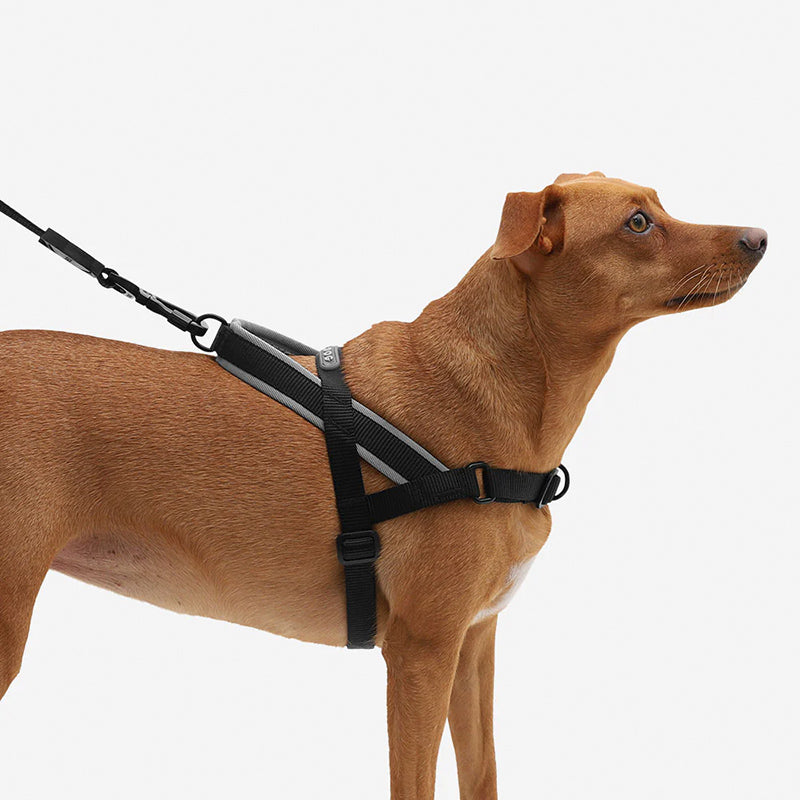 Zee.Dog Gotham SofterWalk arnes perro
