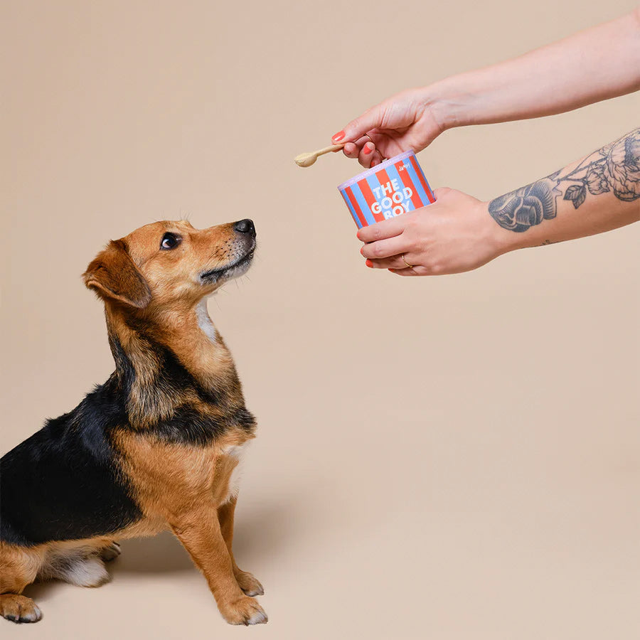 Jampy Multivitamin suplemento perro