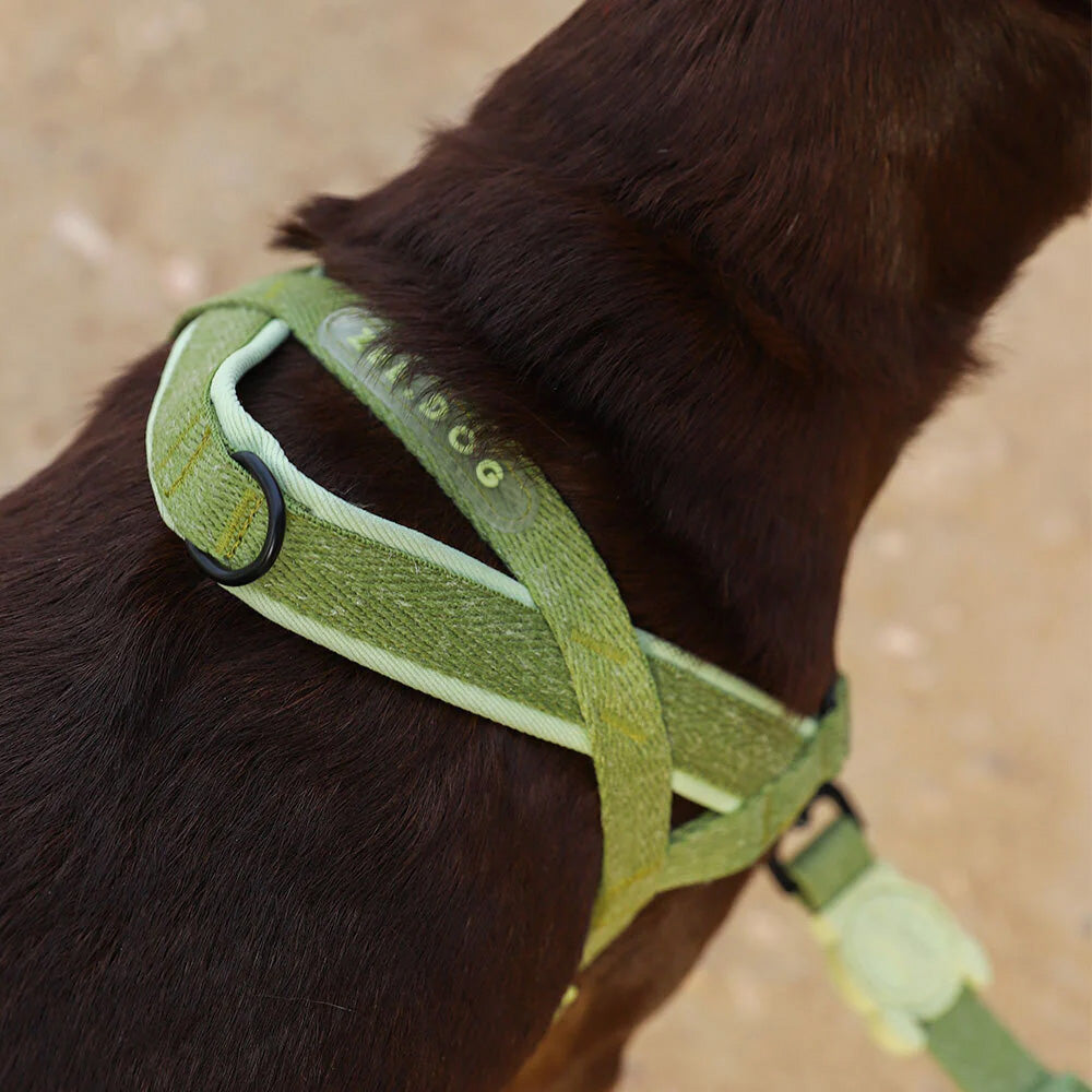 Zee.Dog Moss SofterWalk