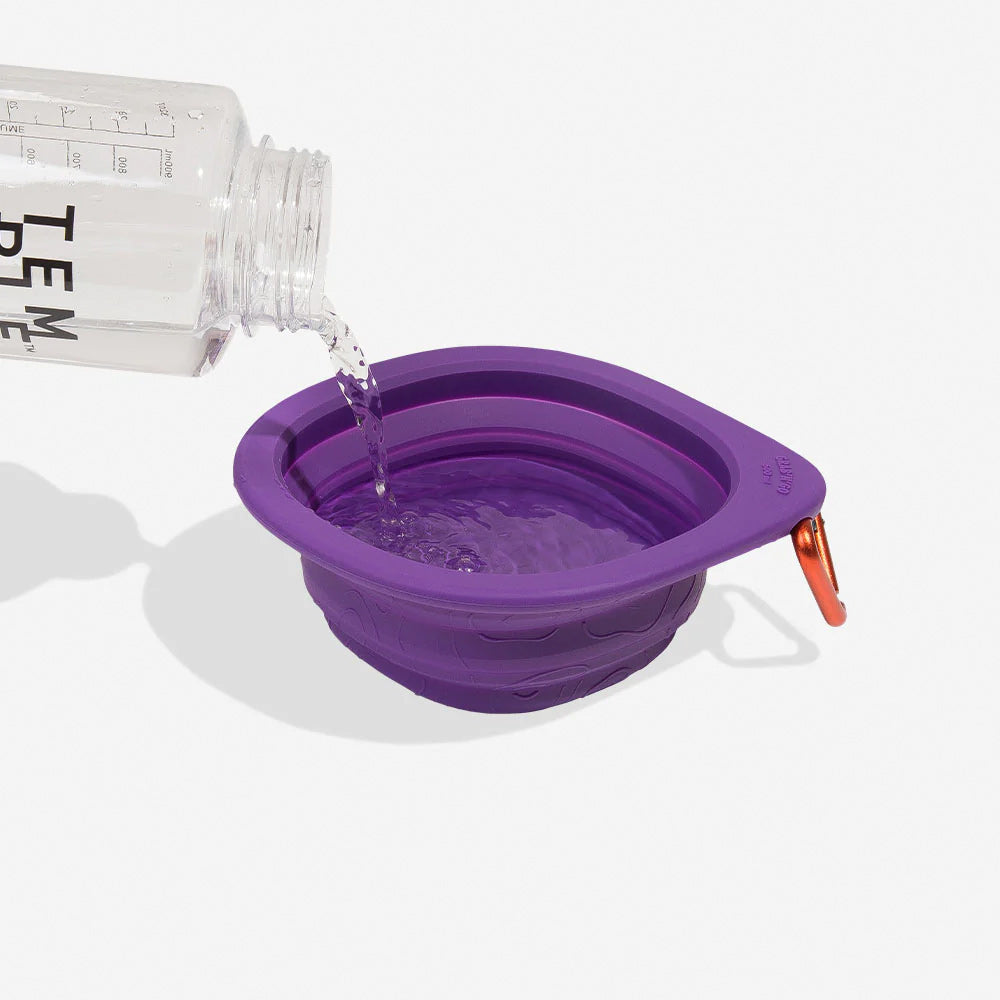ZeeDog Peak Go Bowl