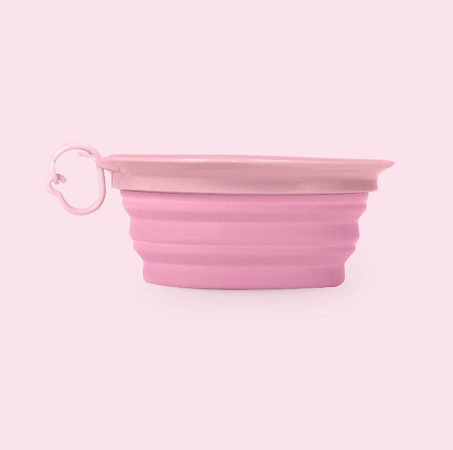 comedero rosa viaje perro