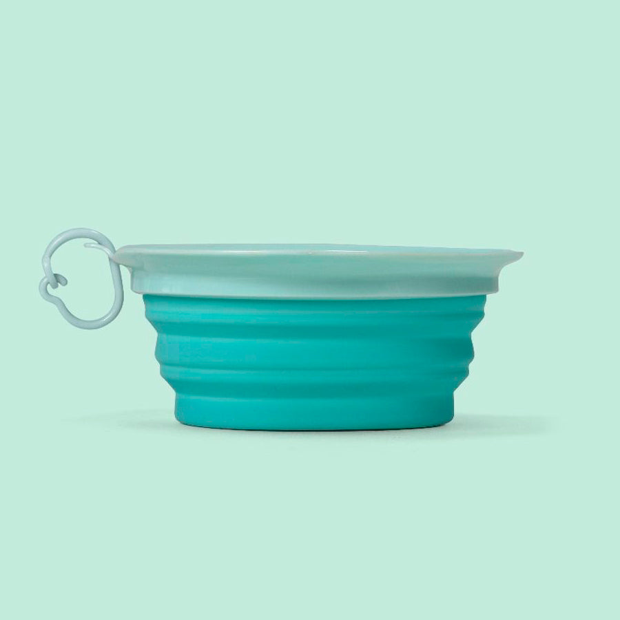 Leaf Travel Bowl Verde