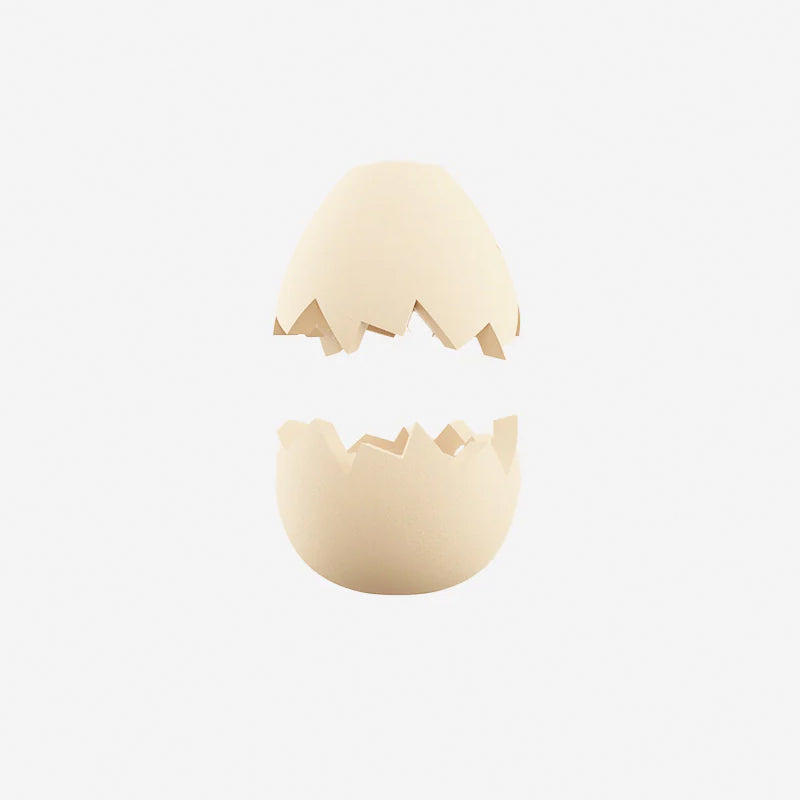 Zee.Pinz EGG
