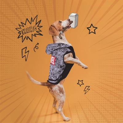 Disney Marvel ropa perro