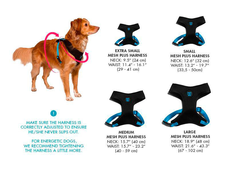 ZeeDog Volt Arnés para perro Ajustable Air Mesh