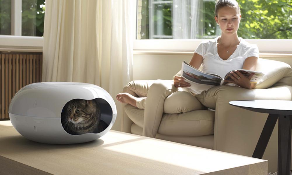 CASA PARA GATOS + COJIN