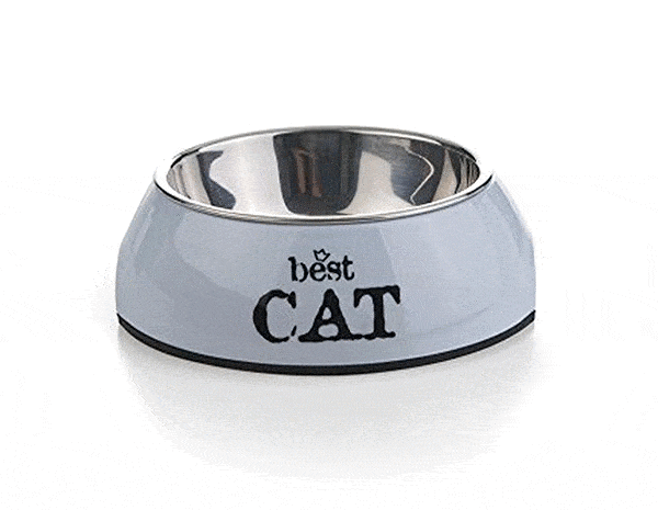 Bowl Blue Cat