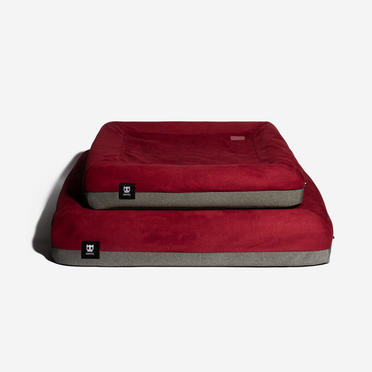 Burgundy Zee.Bed perro