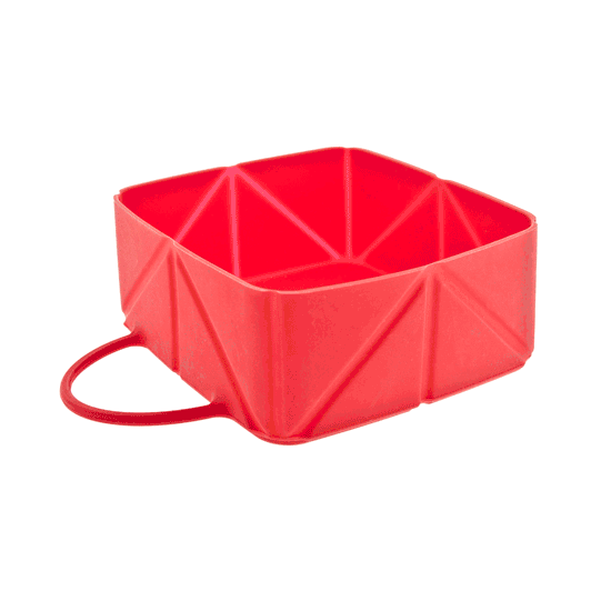 Ferribiella Bowl Viaje Rosa