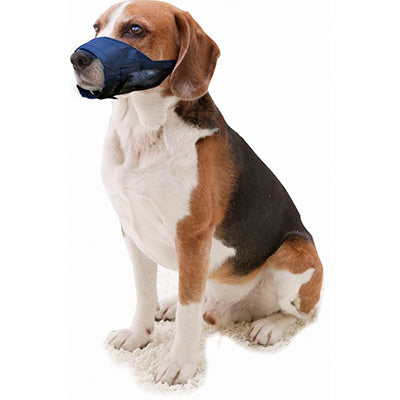 pawise bozal perro