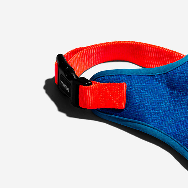 Zee.Dog Tide Air Mesh perro
