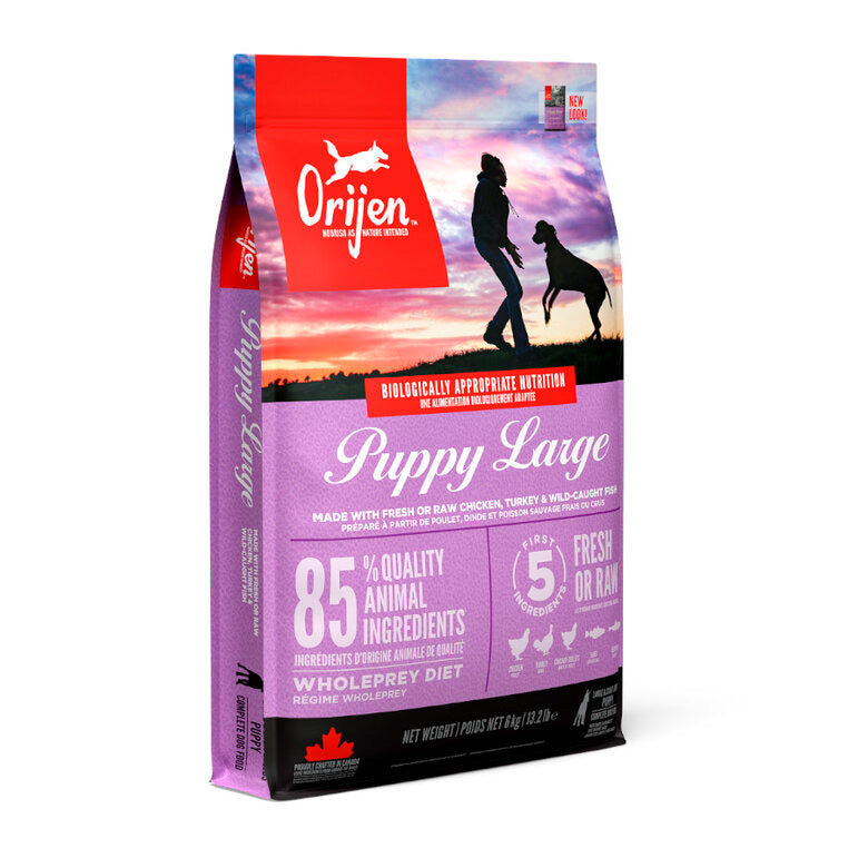 Orijen puppy razas grandes