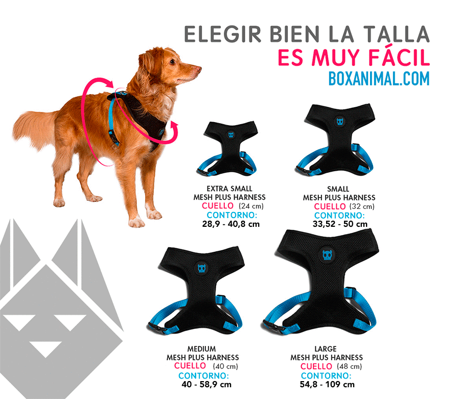 Zee.Dog Mahalo Air Mesh