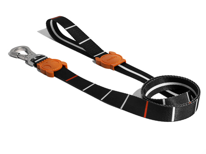 zeedog patagonia leash